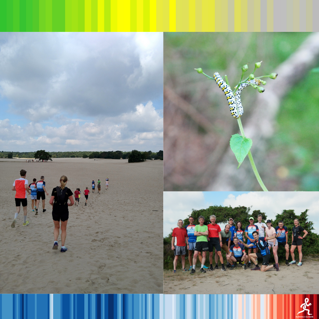 Trail met natuurgids: even stilstaan in plaats van langsrennen